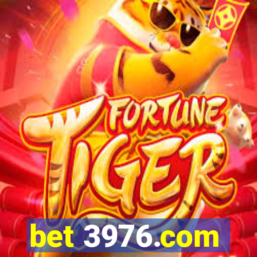 bet 3976.com